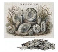Ernst Haeckel Ammonite Illustration Jigsaw Puzzle for Adults, 1000 Pieces | Section-by-section building - a clear section-by-section approach at home.