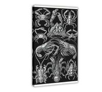 Ernst Haeckel Biology Print, Crustaceans Illustration, Crabs Scientific Art, Marine Life Artwork Classroom Knowledge Poster Children's Room Wall Canvas Art Decor Canvas Poster Bedroom Decor Landscape