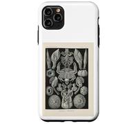 Ernst Haeckel crabs illustration Case for iPhone 11 Pro Max