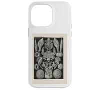 Ernst Haeckel crabs illustration Case for iPhone 14 Pro Max