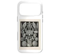 Ernst Haeckel crabs illustration Case for iPhone 17 Pro Max