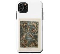 Ernst Haeckel frogs illustration Case for iPhone 11 Pro Max