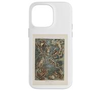 Ernst Haeckel frogs illustration Case for iPhone 14 Pro Max