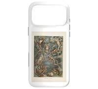 Ernst Haeckel frogs illustration Case for iPhone 17 Pro Max