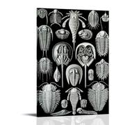 Ernst Haeckel Horseshoe Crabs & Trilobites Classic Posters Canvas Wall Art Decorative Bedroom Modern Home Print Picture Artworkss 20x30inch(50x75cm)
