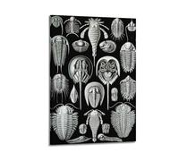 Ernst Haeckel Horseshoe Crabs & Trilobites Fine Artwork Poster Picture Print Wall Art Canvas Artworks Room Aesthetic 20x30inch(50x75cm)