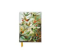 Ernst Haeckel: Hummingbirds (Foiled Pocket Journal) (Flame Tree Pocket Notebooks)
