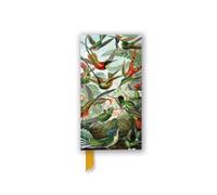 Ernst Haeckel: Hummingbirds (Foiled Slimline Journal)