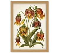 Ernst Haeckel Inspired Fritillaria Flower Plant Study Modern Watercolour Painting Illustration Artwork Framed Wall Art Print A4 Artery8 Light Oak One Size