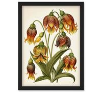 Ernst Haeckel Inspired Fritillaria Flower Plant Study Modern Watercolour Painting Illustration Artwork Framed Wall Art Print A4 Artery8 Black One Size