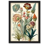 Ernst Haeckel Inspired Vintage Botanical Plant Study Modern Watercolour Painting Illustration Artwork Framed Wall Art Print A4 Artery8 Black One Size