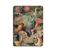 Ernst Haeckel Sea Anemones Retro Poster Metal Tin Sign Chic Art Retro Iron Painting Bar People Cave Cafe Family Garage Poster Wall Decoration 12x16inch(30x40cm)