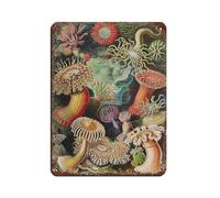 Ernst Haeckel Sea Anemones Tin Sign Vintage Metal Pub Club Cafe Bar Home Wall Art Decoration Poster Retro 12x16inch(30x40cm)