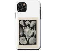 Ernst Haeckel shells illustration Case for iPhone 11 Pro Max