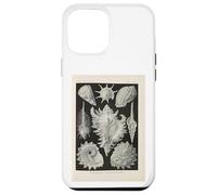 Ernst Haeckel shells illustration Case for iPhone 12 Pro Max