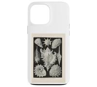 Ernst Haeckel shells illustration Case for iPhone 13 Pro Max