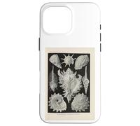 Ernst Haeckel shells illustration Case for iPhone 16 Pro Max