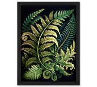 Ernst Haeckel Style Fern Fronds Leaf Illustration Artwork Framed Wall Art Print A4 Artery8 Black One Size