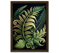 Ernst Haeckel Style Fern Fronds Leaf Illustration Artwork Framed Wall Art Print A4 Artery8 Brown One Size