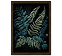 Ernst Haeckel Style Leaf Illustration Fern Fronds Artwork Framed Wall Art Print A4 Artery8 Brown One Size