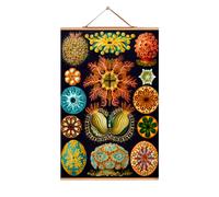 Ernst Heinrich Philipp August Haeckel Poster No 07 eicie SINGLE PIECES - 4052115043065