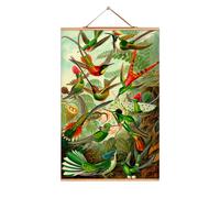 Ernst Heinrich Philipp August Haeckel Poster NO 09 eicie SINGLE PIECES - 4052115043089