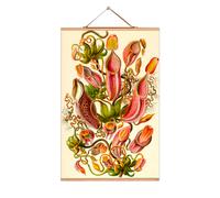 Ernst Heinrich Philipp August Haeckel Poster No 12 eicie SINGLE PIECES - 4052115043119