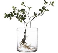 ERNST - Vase With Lid H28 cm - Clear