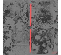 Erol Alkan - A Hold On Love (Reworks) [Vinyl LP] [VINYL]
