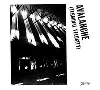 Erol Alkan & Boys Noize (Feat. Jarvis Cocker) - Avalanche (Terminal Velocity) [VINYL]
