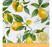 Erosebridal 3D Lemon Fabric by The Yard, Summer Tropical Fruit Upholstery Fabric,Botanical Green Leaves Decorative Fabric, Farmhouse Lemons Floral Indoor Outdoor Fabric,Yellow Green White, 1 Yard