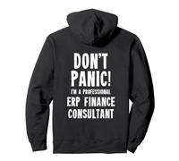ERP Finance Consultant Pullover Hoodie