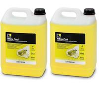 ERRECOM Yellow Cool, Yellow Coolant and Antifreeze -10°C/+103°C, Fluorescent Formulation with organic-based OAT inhibitor package, G12, Ready to Use, 5 Litre (Pack of 2)