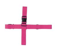 - Error - Conversion Failed: API Request Error: 403 Client Error: Fo... - 确定 - (Specification)