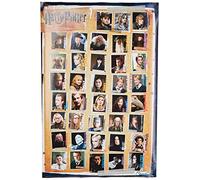 GB eye LTD, Harry Potter 7, Characters, Maxi Poster, 61 x 91.5 cm, Wood, Multi-Colour