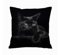 ERRTU Throw Pillow Case Pillowcase Square Printed Cushion Cover for Living Room Sofa Couch Bed Car,Black cat with yellow eyes on black background,18x18 in