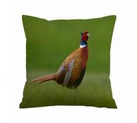 ERRTU Throw Pillow Case Pillowcase Square Printed Cushion Cover for Living Room Sofa Couch Bed Car,Common Pheasant bird with long tail on the green grass ow animal in the nature habitat Czec,18x18 in