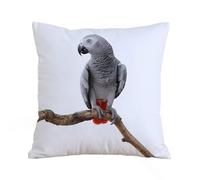 ERRTU Throw Pillow Case Pillowcase Square Printed Cushion Cover for Living Room Sofa Couch Bed Car,Grey,African Parrot Bird Psittacus Erithacus Standing on a Branch Tropical,16x16 in