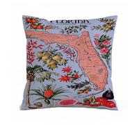 ERRTU Throw Pillow Case Pillowcase Square Printed Cushion Cover for Living Room Sofa Couch Bed Car,Reprint of a Vintage Travel P to Florida - Agriculture regions_upscayl_4x_ultrasharp,16x16 in
