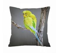 ERRTU Throw Pillow Case Pillowcase Square Printed Cushion Cover for Living Room Sofa Couch Bed Car,Yellow parakeet on a branch budgerigar,16x16 in