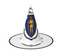 ERSDWRE Massachusetts State Flag Print Witch Hat Wizard Hat Cosplay Accessories For Halloween Christmas Carnivals Masquerade