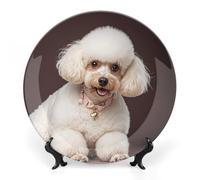 ERSTSNCK - 10" French Poodle Ceramic Decorative Plate Bone China Wall Hanging Boho Style Dinner Plate with Stand for Home Art Decor