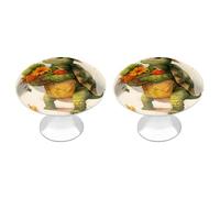 ERSTSNCK A Cartoon Turtle Cabinet Knobs, 2-Pack Silver Stainless Steel Drawer Pulls with Screws, Elegant Hardware for Dressers, Kitchen,Cabinets & Desks