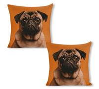 ERSTSNCK A Pug Pillow Covers 18"x18"（2pcs） Linen Throw Pillow Covers - Double Sided Decorative Square Cushion Cases for Sofa, Bed, Chair (No Insert Included)