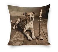 ERSTSNCK Animal Pit Bull Pillow Covers 18"x18" Linen Throw Pillow Covers - Double Sided Decorative Square Cushion Cases for Sofa, Bed, Chair (No Insert Included)