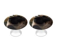 ERSTSNCK Animals on Tree Cabinet Knobs, 2-Pack Silver Stainless Steel Drawer Pulls with Screws, Elegant Hardware for Dressers, Kitchen,Cabinets & Desks