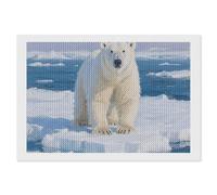 ERSTSNCK Arctic Polar Bear Diamond Painting Kits for Adults 8"x12" 5D Diamond Art Kits for Beginners DIY Full Drill Round Diamonds Gem Art Crafts Painting for Home Wall Decor
