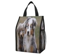 ERSTSNCK Australian Shepherd Insulated Lunch Bag Leakproof Insulated Cooler Bags Reusable Cooler Tote Foldable Lunchbox for Adult Women Men for Work Travel Picnic