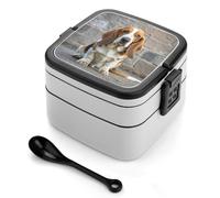 ERSTSNCK Basset Hound Bento Box 1000ml Leak Proof Lunch Container with Removable Dividers & Spoon - BPA-Free PP Stackable Lunch Box for Work, Office, Picnic, Travel, Dining Out