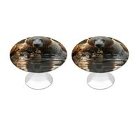 ERSTSNCK Bear Crossing The River Cabinet Knobs, 2-Pack Silver Stainless Steel Drawer Pulls with Screws, Elegant Hardware for Dressers, Kitchen,Cabinets & Desks